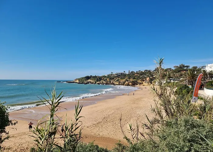 アパート Mar A Vista